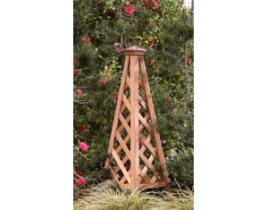 Arboria Copper Top Cedar Pyramid