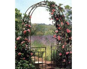 Oakland Living Arbor with Gate and Base