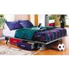 Save  on Teen Trends Primary at The Wood And Metal Superstore