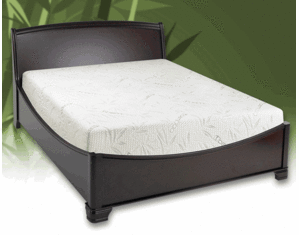 EComfort Eco 3 12 Inch Premium Mattress