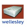 Save  on Wellesley Plush at The Mattress Superstore