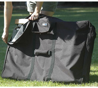 TravelChair_Lizard_Sack_Bag.jpg