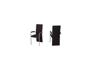 Great Furniture Jupiter - Set of 2 Dining Chair