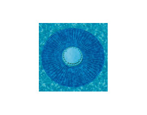 Smartpool Smart Ring Drain Cover