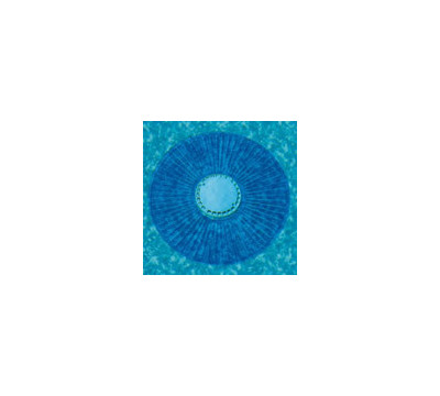 Smartpool_Smart_Ring_for_I_G_Auto_Cleaners_Pool_Cleaner_Accessory.jpg