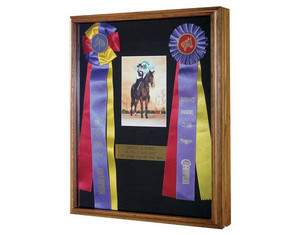 SpartaCraft Medium Display Case