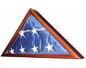 SpartaCraft Trooper Flag Display Case
