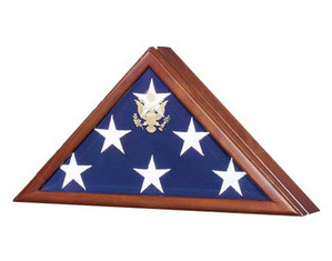 SpartaCraft Vice Presidential Flag Display Case