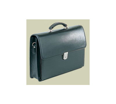 Tandi_Accordion_Briefcase.jpg
