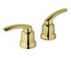 Polished Brass