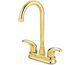 Polished Brass