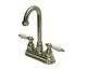 Porcelain Lever