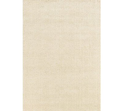 Couristan_Super_Indo___Colors_Area_Rug.jpg