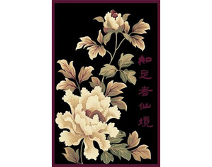 Home Dynamix Evolution 5115 Black Area Rug