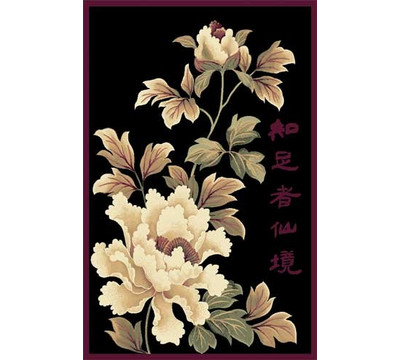 Home_Dynamix_Evolution_5115_Black_Area_Rug.jpg