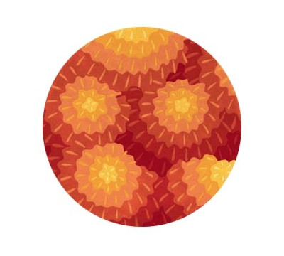 Round