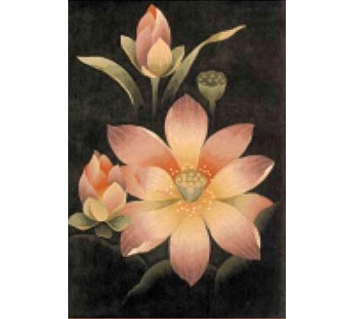 Magnolia