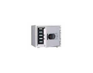 Advance Safe 119EJ Fire Safe - Fast FREE FedEx Shipping!