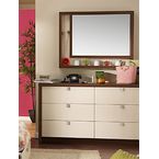 Free Shipping  Decorative Wall Mirrors