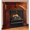 Save  on Andrea Gel Fuel Fireplace at The Electric Fireplace Superstore