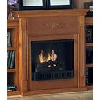 Over $450  Gel Fuel Fireplaces
