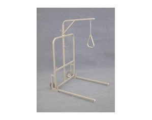 ConvaQuip Freestanding Trapeze