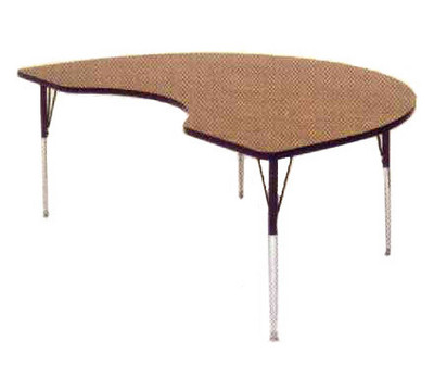 Correll_Kidney_Shape_Classroom_Activity_Table.jpg