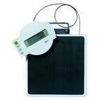 350 to 400 lbs  Digital Bathroom Scales
