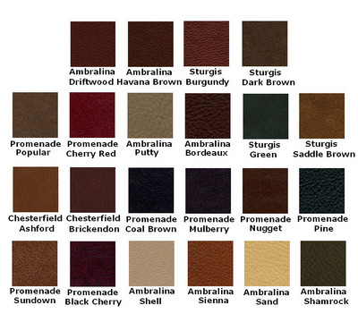 Available Leather Colors - 2