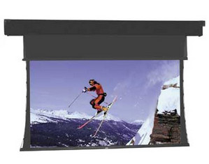 Da-Lite Da-Tex Tensioned Horizon Electrol Screen NTSC Format
