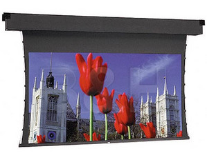 Da-Lite HDTV to NTSC Video Format Da-Mat High Contrast Tensioned Dual Masking Electrol Screen