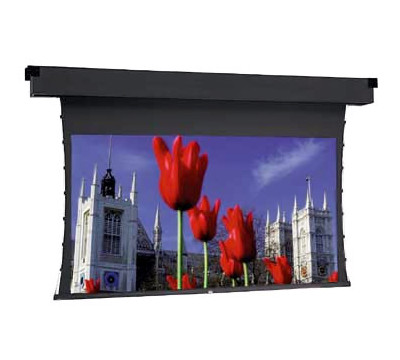 Da-Lite_Letter_Box_to_NTSC_Video_Format_Da_Mat_High_Contrast_Tensioned_Dual_Masking_Electrol_Screen__Electric_Projector_Screen.jpg