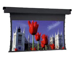 Da-Lite Letter Box to NTSC Video Format Da-Mat Tensioned Dual Masking Electrol Screen