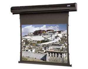 Da-Lite Square Format Da-Mat Tensioned Contour Electrol Screen