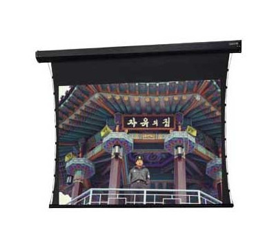 Da-Lite_Tensioned_Cosmopolitan_Da_Mat_Square_Format_Electric_Projector_Screen.jpg