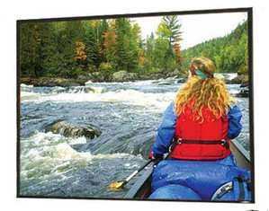Draper Access/Series V - NTSC Format Electric Projector Screen