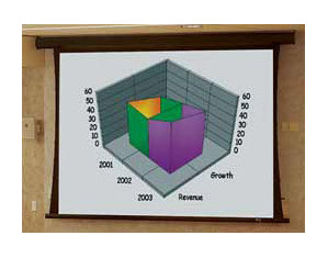 Draper Premier - NTSC Format Electric Projector Screen