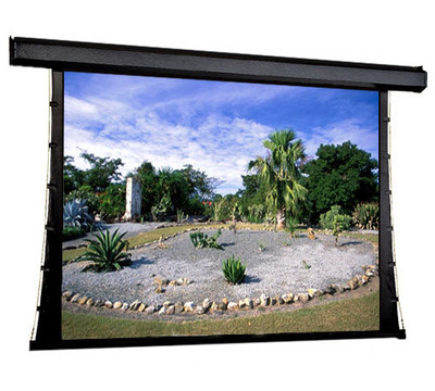 Draper_Premier___Widescreen_Format_Electric_Projector_Screen.jpg