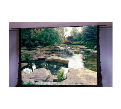 Draper_Signature_or_Series_V___NTSC_Video_Format_Electric_Projector_Screen.jpg