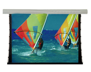 Draper Silhouette or Series V - AV Format Electric Projector Screen