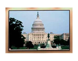 Draper Clarion NTSC Format Fixed Projector Screen