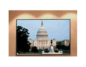 Draper Clarion with Veltex Fixed Projector Screen