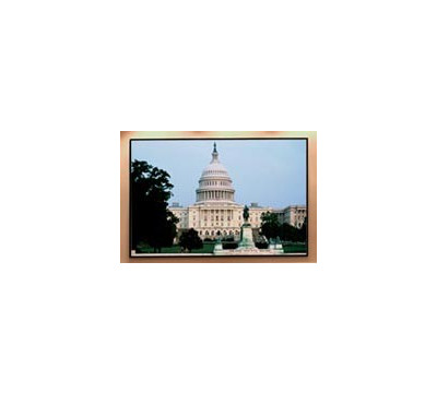 Draper_Shadow_Box_Clarion_Square_Format_Fixed_Projector_Screen.jpg