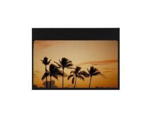 Optoma Panoview Gray Wolf II Professional Gray Fixed Projector Screen