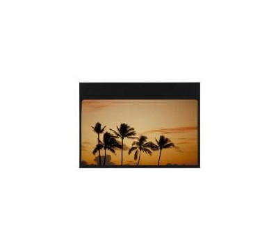 Optoma_Panoview_Gray_Wolf_II_Professional_Gray_Fixed_Projector_Screen.jpg