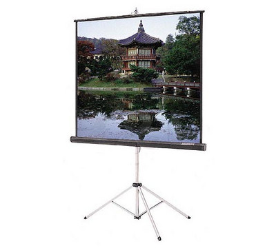 Da-Lite_Picture_King_Rugged_Tripod_Square_Format_Portable_Projector_Screen.jpg