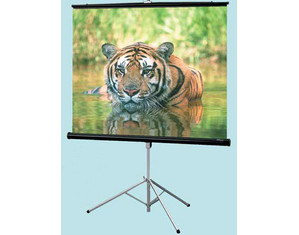 Draper Consul with Keystone Eliminator Arm Portable Projector Screen