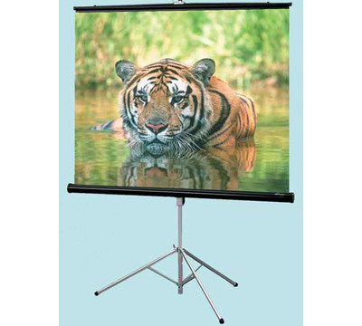 Draper_Consul_with_Keystone_Eliminator_Arm_Portable_Projector_Screen.jpg