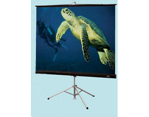 Draper Diplomat - AV Format Portable Projector Screen