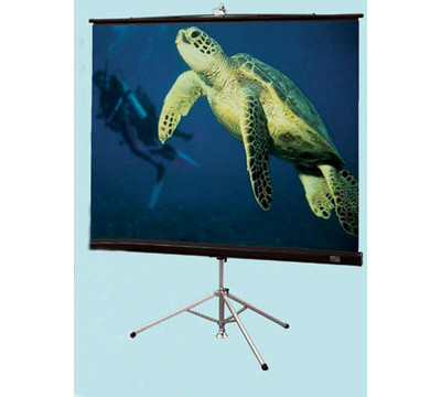 Draper_Diplomat___AV_Format_Portable_Projector_Screen.jpg